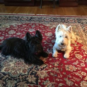 Meet your Posher, Cheryle